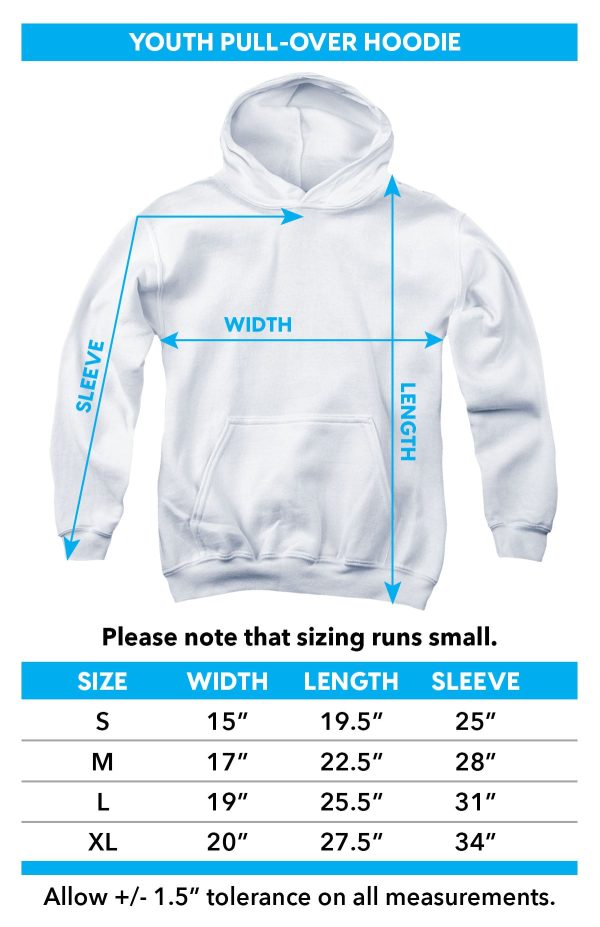 WONDER WOMAN : STANCE 2 YOUTH PULL OVER HOODIE White SM Supply