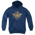 WONDER WOMAN MOVIE : POWER STANCE AND EMBLEM YOUTH PULL OVER HOODIE Navy XL Online Sale