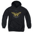 WONDER WOMAN MOVIE : DISTRESSED LOGO YOUTH PULL OVER HOODIE Black XL Online Hot Sale