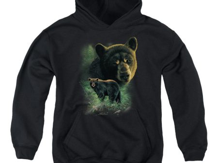 WILDLIFE : BLACK BEARS YOUTH PULL OVER HOODIE BLACK MD For Cheap